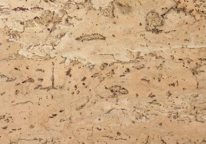 Настенное пробковое покрытие Wicanders YS 15 054 Natura (Натура)