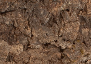 Настенное пробковое покрытие Viscork Roccia (Роцциа) Mato (Мато)