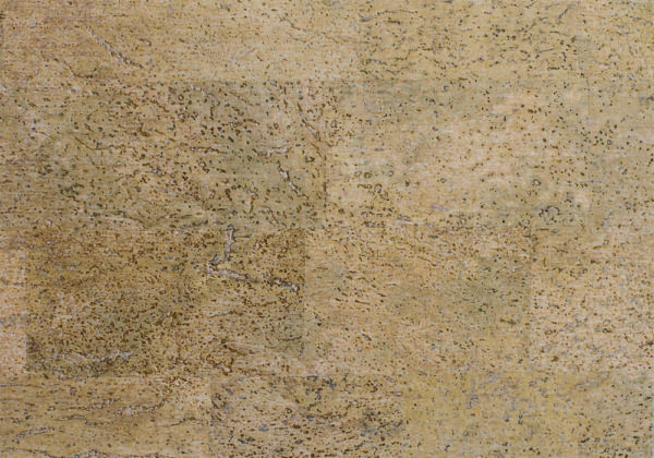 Клеевое пробковое покрытие Viscork Fantasie 16 SB 290 942 (Фантасие 16 СБ 290 942)