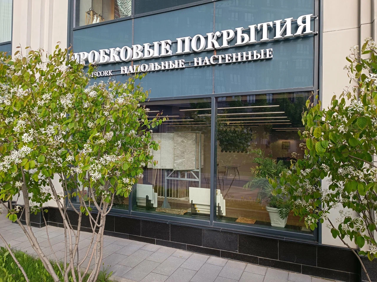 Клеевые пробковые покрытия Viscork (Вискорк) Клеевые пробковые покрытия Viscork (Вискорк)