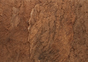 Настенное пробковое покрытие Viscork Vero (Веро) Horta (Хорта)