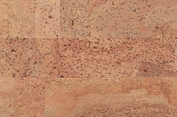 Клеевое пробковое покрытие CorkStyle Fantasie HC (Фантасие HC)