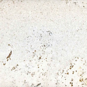 Настенное пробковое покрытие Акрол