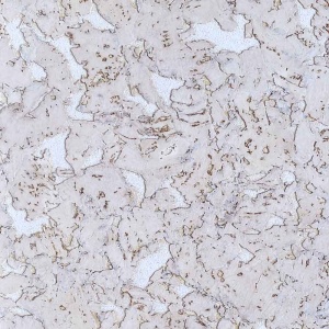 Настенное пробковое покрытие Адирел Адавен