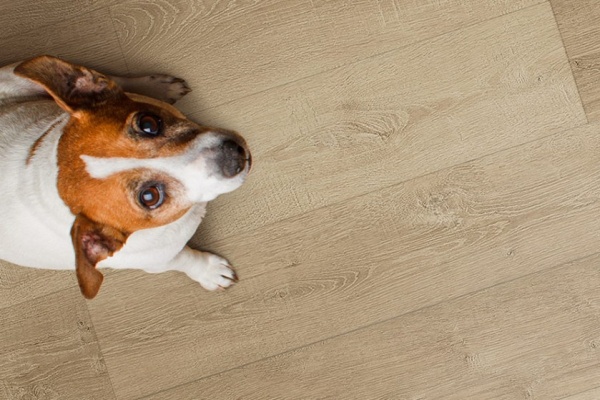 Виниловый пол FloorFactor Barley Corn Oak (Барлеy Корн Оак) SIC13